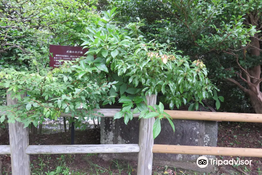 宮本武蔵旧居跡