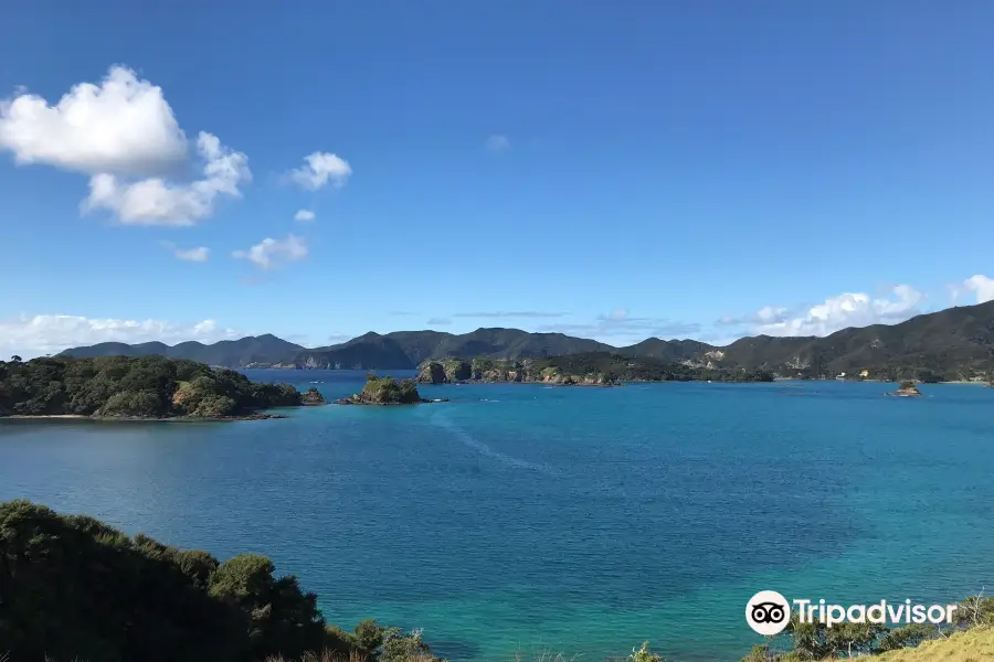 Discover Bay of Islands