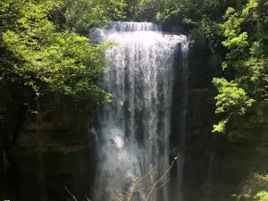 Virgin Falls State Natural Area