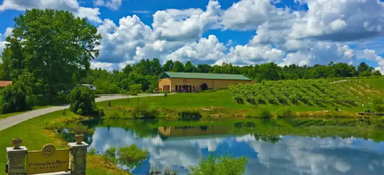 Hotels in Wise County