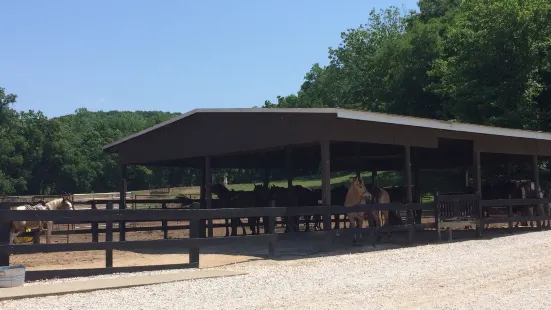 Pere Marquette Riding Stables