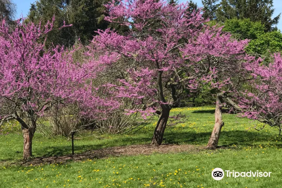 University of Guelph Arboretum