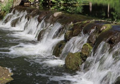 Cowling Arboretum at Carleton College