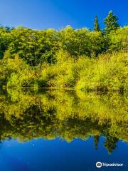 Scriber Lake Park