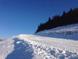 The ski area Kissomlyó