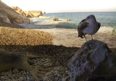 Natural History Museum of Crete