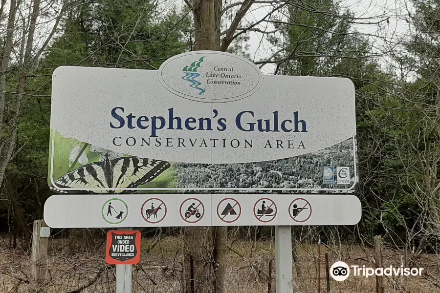 Stephen's Gulch Conservation Area