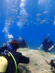 Cyprus Diving Centre