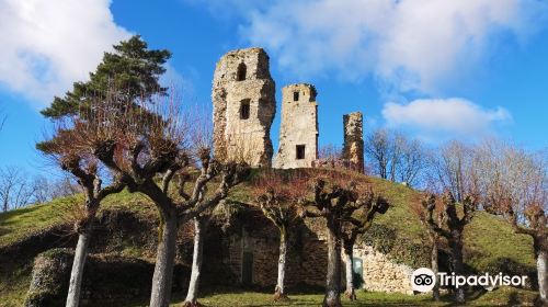 Tour Anne de Bretagne