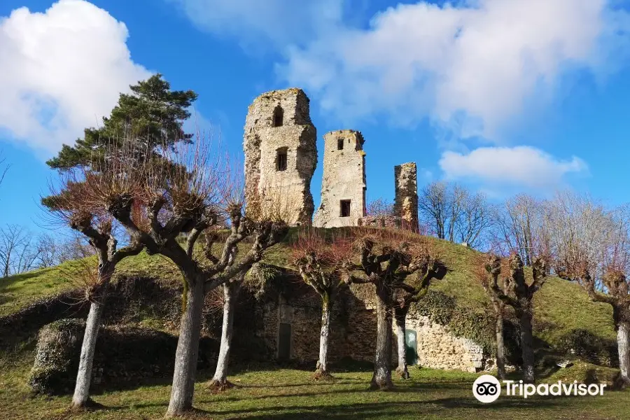 Tour Anne de Bretagne