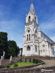 Igreja Matriz De Sao Pedro