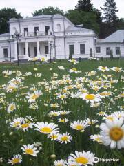 Golitsyn's Palace