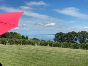 Thirsty Owl Wine Company