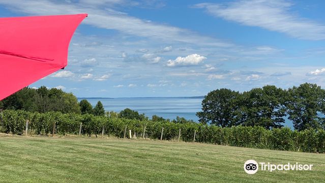 Thirsty Owl Wine Company