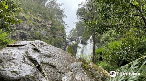 Steavenson Falls