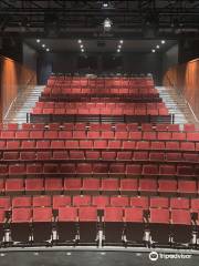 Cape Fear Regional Theatre