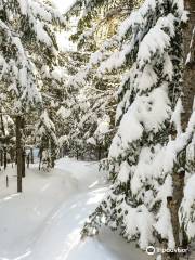 Centre de Plein Air Les Sources Joyeuses