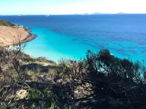 Rotary Lookout