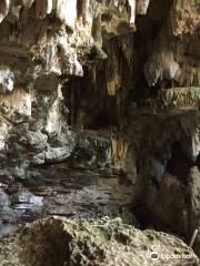 Cave Oleg Bat House