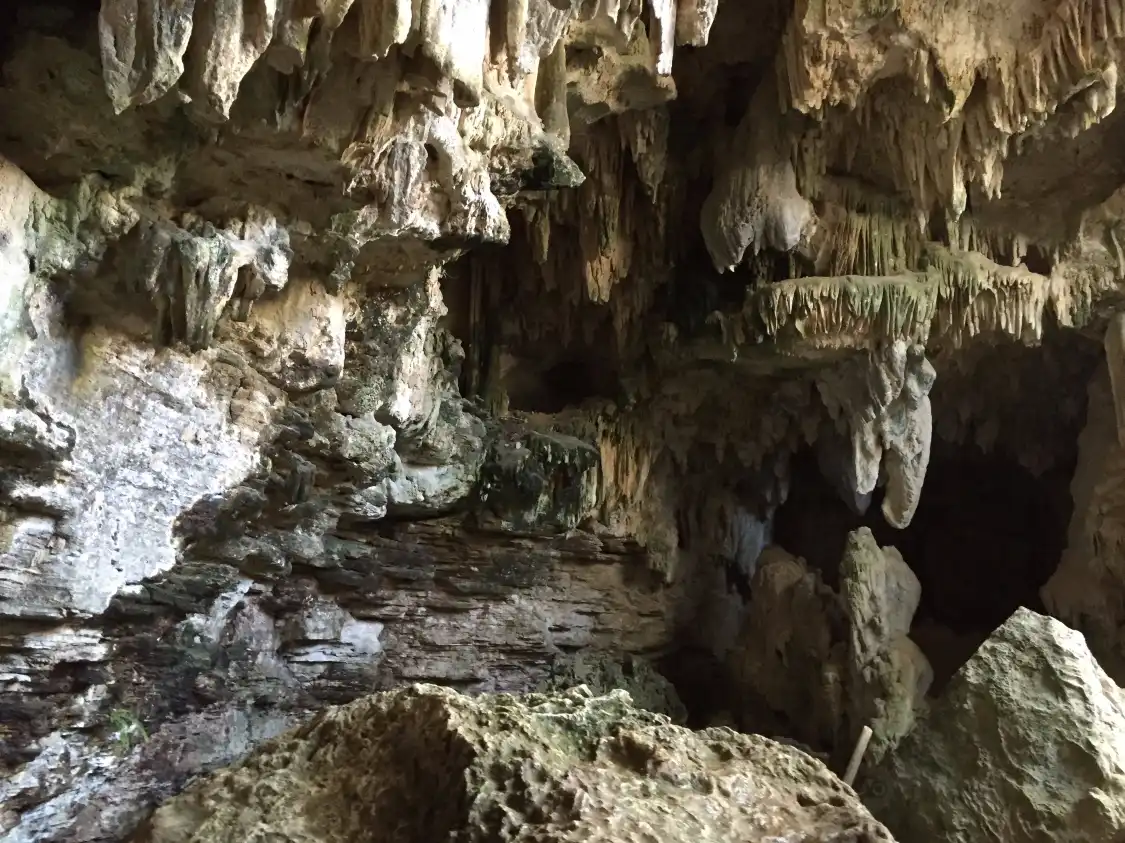 Hotels near Cave Oleg Bat House