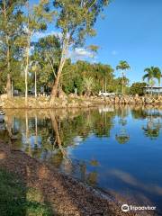 Theresa Creek Dam