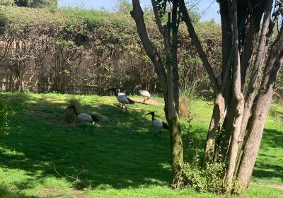 アル・アイン動物園