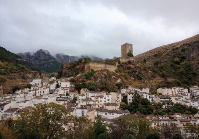 Castillo de la Yedra