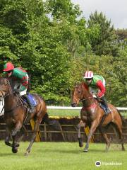 Hexham Racecourse