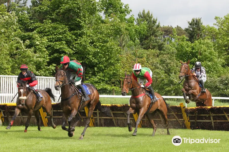 Hexham Racecourse