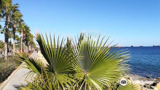 Molos Limassol - Promenade