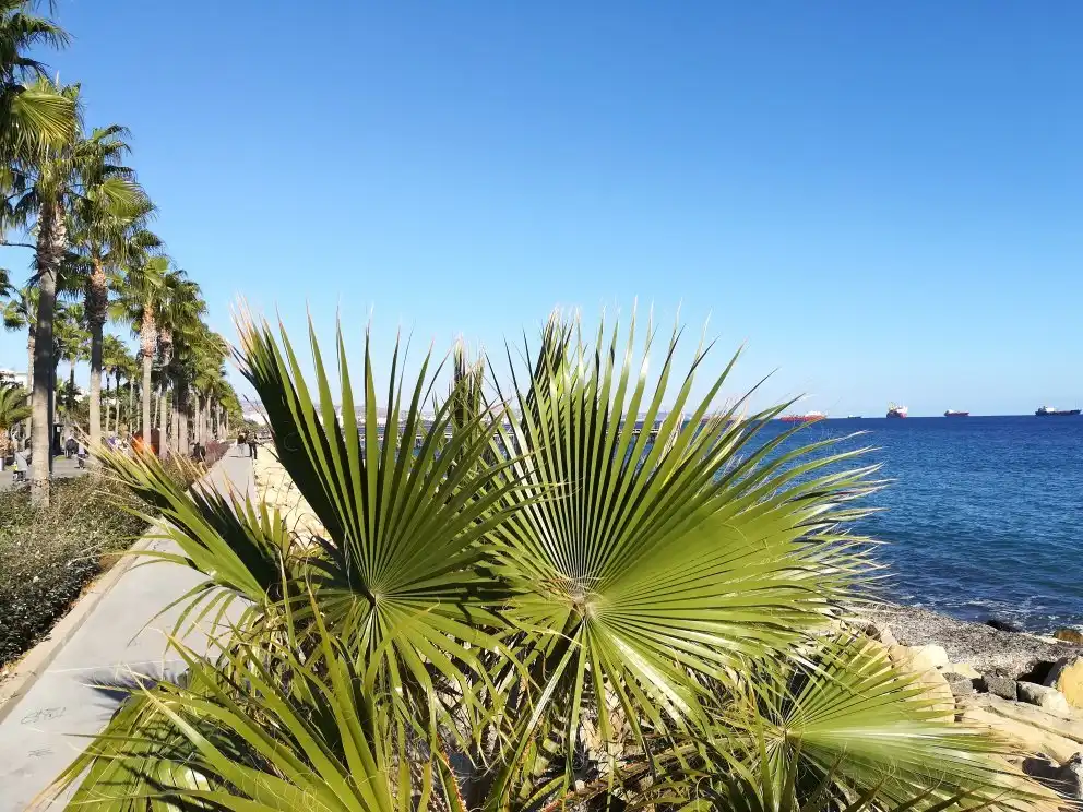 Hotels near Molos Limassol - Promenade