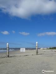 Coronado Dog Beach