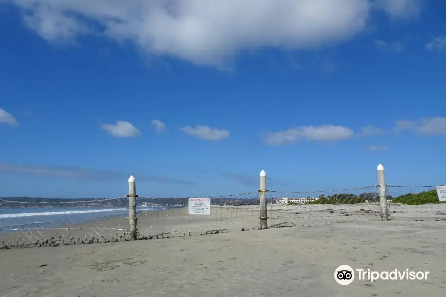 Coronado Beach & Dog Park