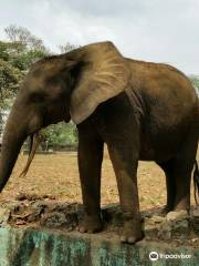 Zoo d'Abidjan