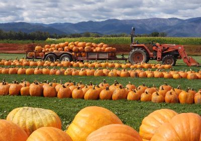 Fort Vannoy Farms