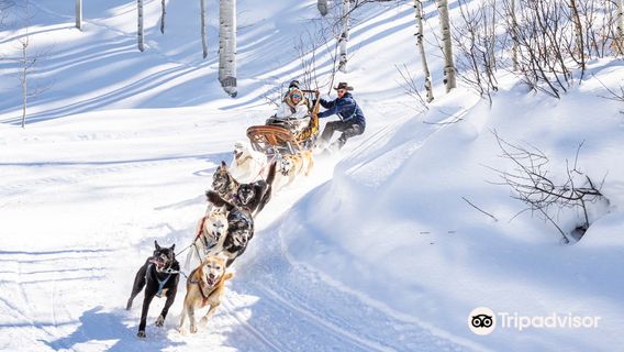 Krabloonik Dogsled Rides