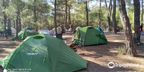 Park Orman Kemalpasa