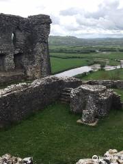 Dryslwyn Castle