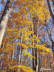 Beaver Lake Nature Center