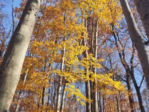 Beaver Lake Nature Center