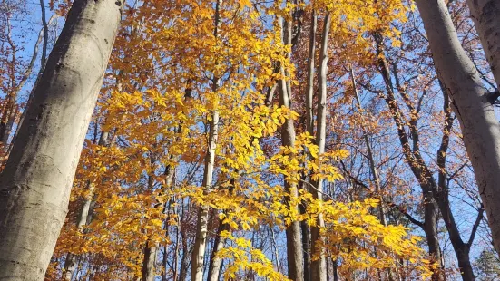 Beaver Lake Nature Center