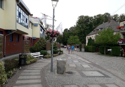 Kamien County