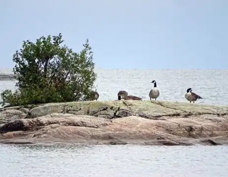 Hotels in Vanersborg Municipality