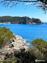 Cycle Catalan - bike tours and holidays