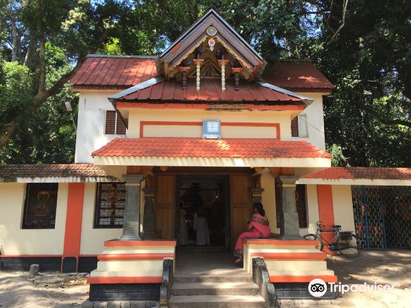 Mannarasala Sree Nagaraja Temple