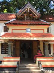 Mannarasala Sree Nagaraja Temple