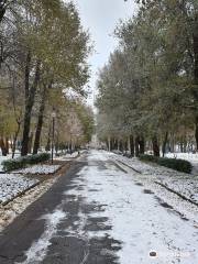 Park of Revolution (Park Oktyabrskoii Revolutsii)