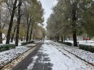 Park of Revolution (Park Oktyabrskoii Revolutsii)