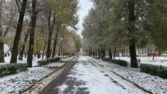 Park of Revolution (Park Oktyabrskoii Revolutsii)