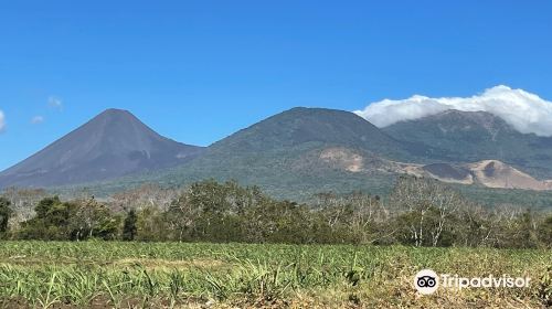 Izalco Volcano